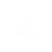 Castle Connolly top doctors 2026 logo